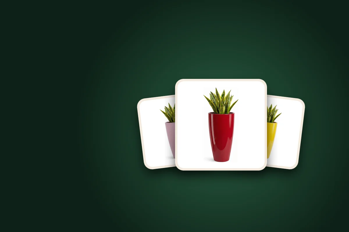 SD Gallery tall plastic planters in red, pink marble and yellow