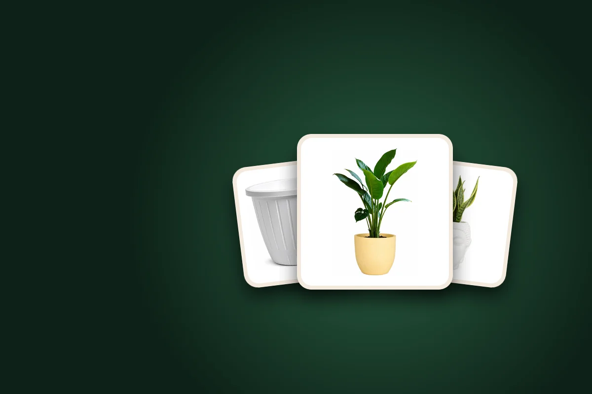 SD Gallery round plastic pots: beige 15 inch pot, white Dura pot and white Buddha pot