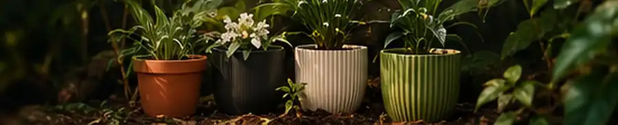 Terracotta, cream and green ribbed pots with plants