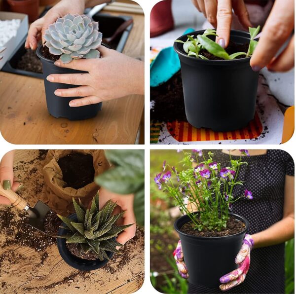 Best Flower Pots for Balcony Gardening in Delhi