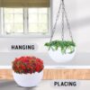 space saving hanging plant pot décor