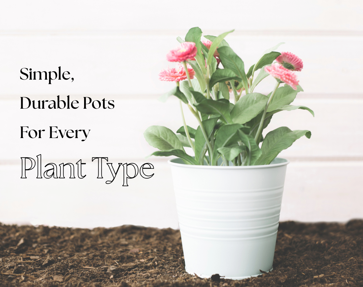 Perfectly sized pots for all plant stages (1)