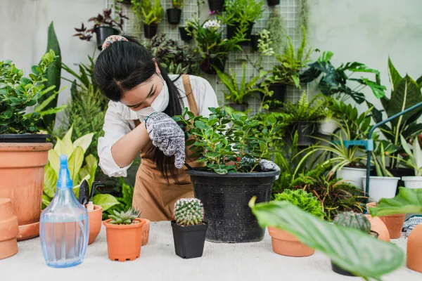 🏠 Low Maintenance Indoor Planters for Apartments