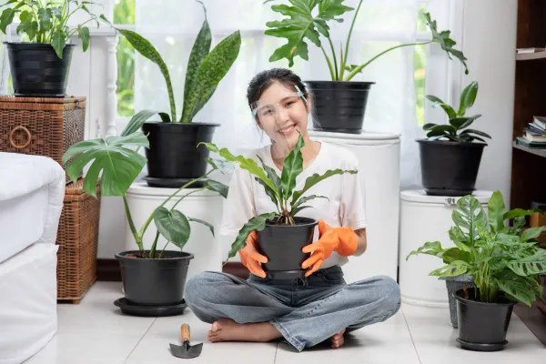 🌿 Best Planters for Home Gardening 