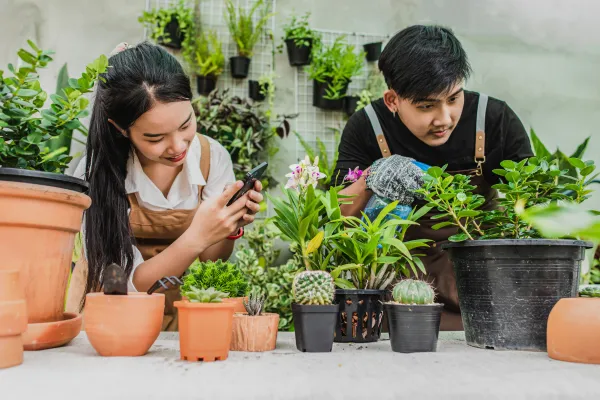 🌱 Why Low Maintenance Home Gardening Is Growing in Popularity