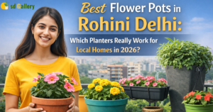 Best Flower Pots in Rohini Delhi