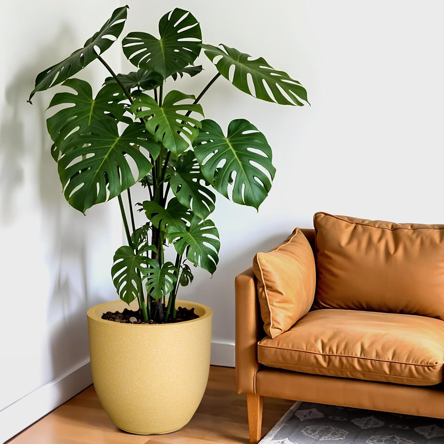 Plant shelf in a bright room