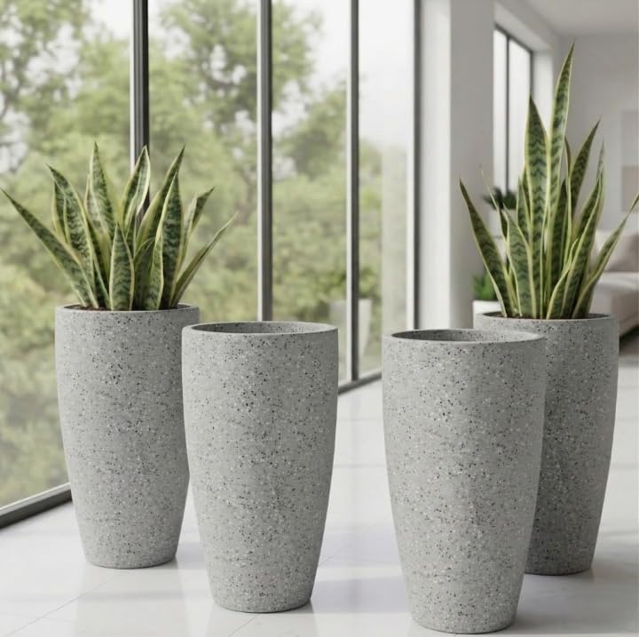 Living room with potted plants
