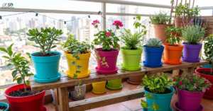Plastic Pots Collection