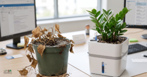 healthy plant in a self-watering planter.