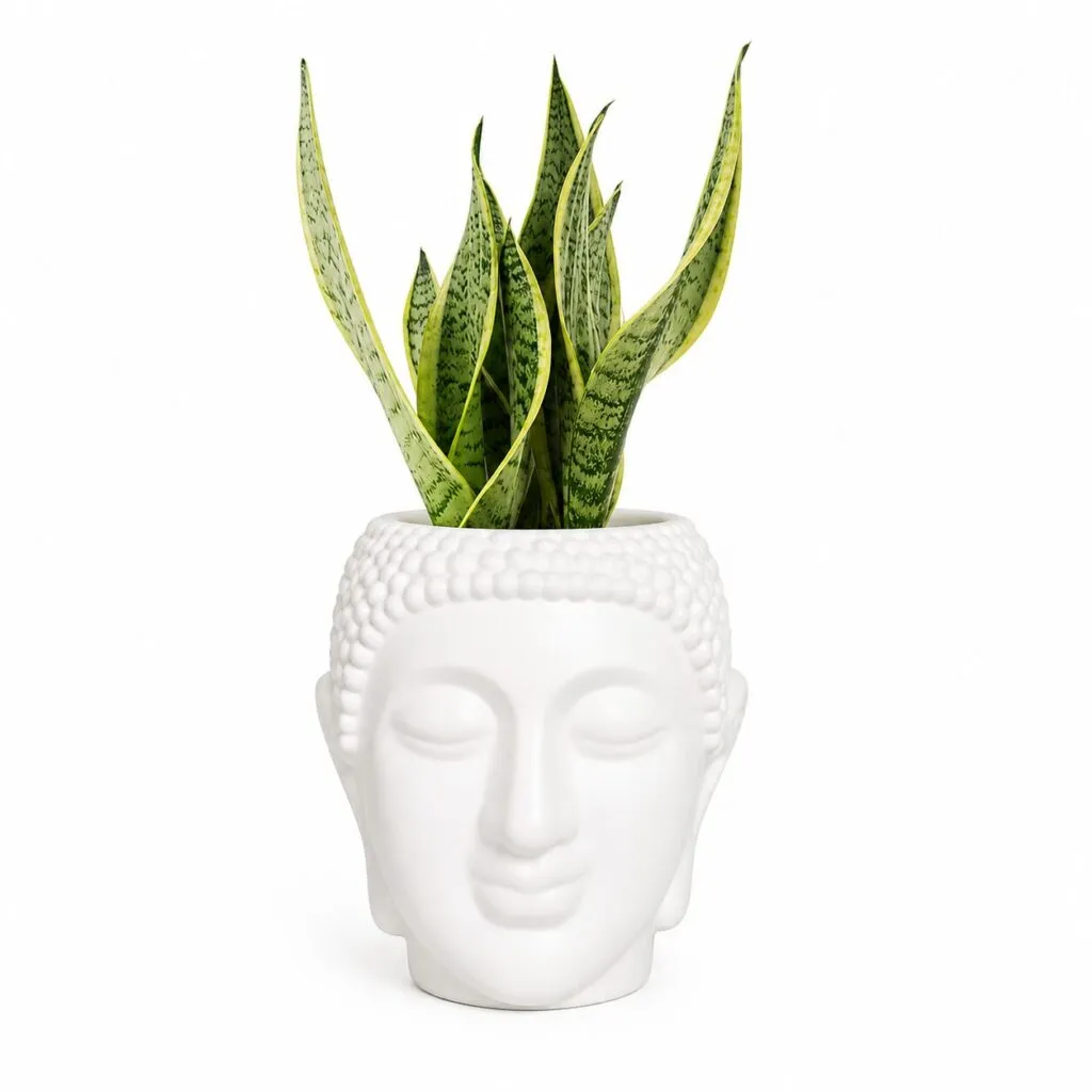 Buddha 8 inch white plastic flower pot