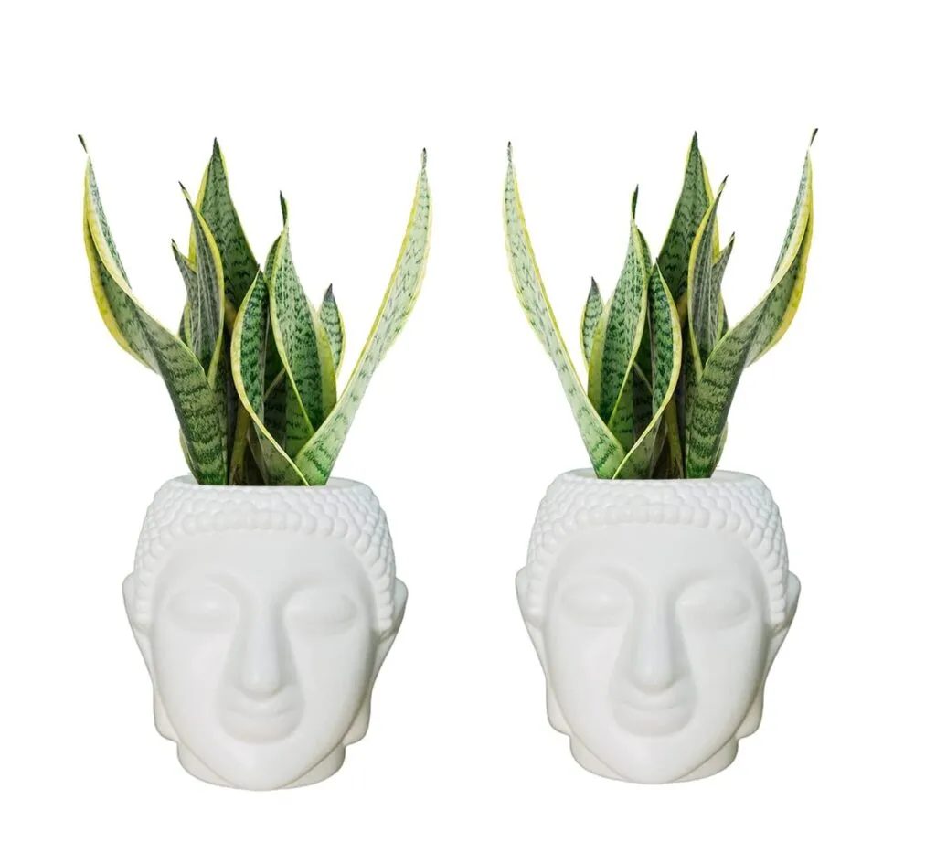 Buddha 8 inch white plastic flower pot