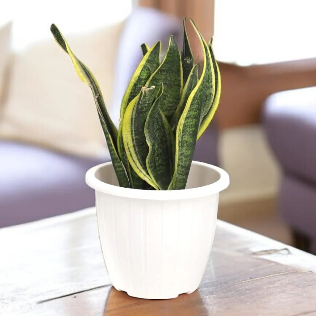Dura 10 inch white round plastic flower pot