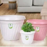 SD Gallery Jimmy plastic flower pots in white and pink with a green plant
