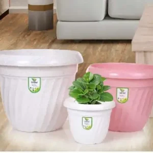 SD Gallery Jimmy plastic flower pots in white and pink with a green plant