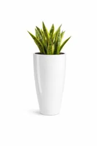 16 Inch White Large Plastic Flower Pot for Indoor Outdoor