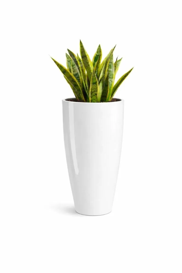 16 Inch White Large Plastic Flower Pot for Indoor Outdoor