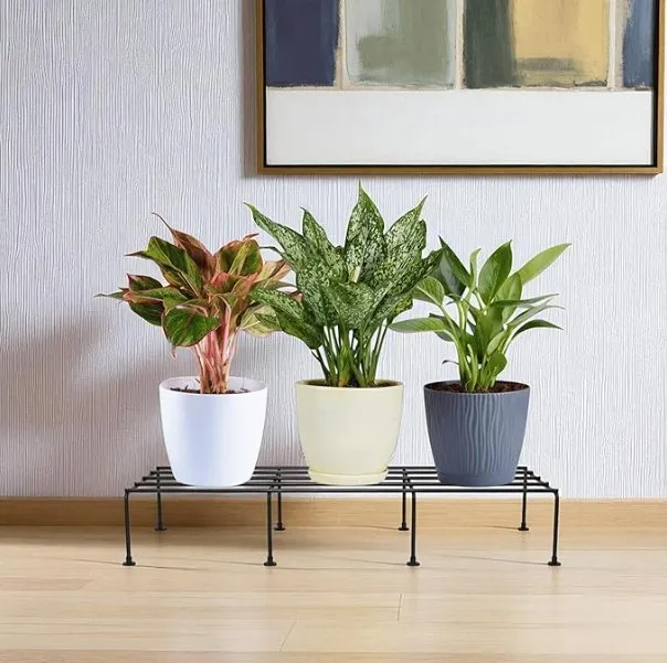 SD Gallery heavy duty metal plant stand